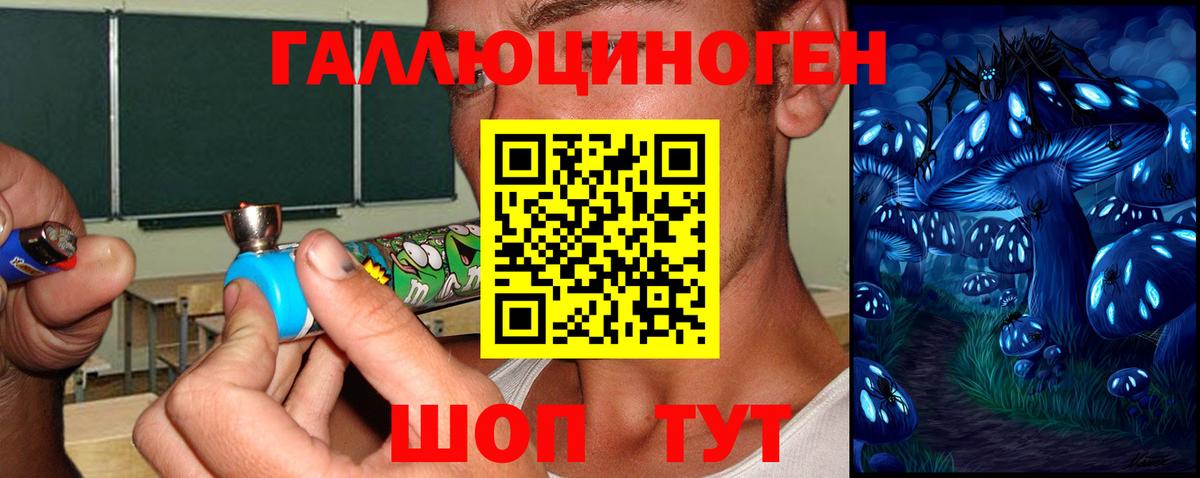 Галлюциногенные грибы Psilocybine cubensis Барабинск